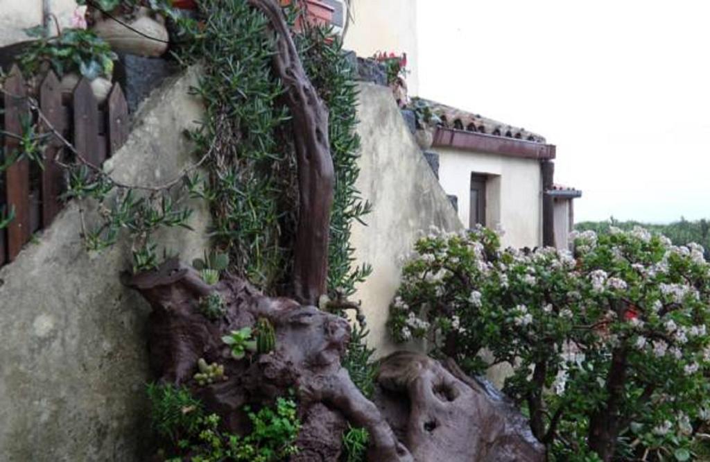 Agriturismo Ruvitello Мистербианко Стая снимка